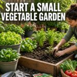 How do I start a small vegetable garden at home?